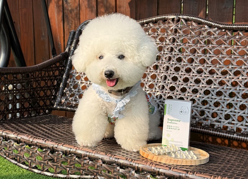 女人知己試用大隊,口碑行銷,部落客行銷,嬌寵醫生 極精萃 皮膚專科益生菌,保證新鮮活菌100億,皮膚保健益生菌,好吸收,幫助維持消化道機能,維持健康,可撥開膠囊使用以下方式均勻攪拌後，予以犬貓食用,●拌飼料　●拌罐頭　●拌鮮食　●拌肉泥,品牌創辦人是獸醫師，親自研發，吃得安心.放心,寵物預防醫學第一品牌,拒絕添加不必要成分